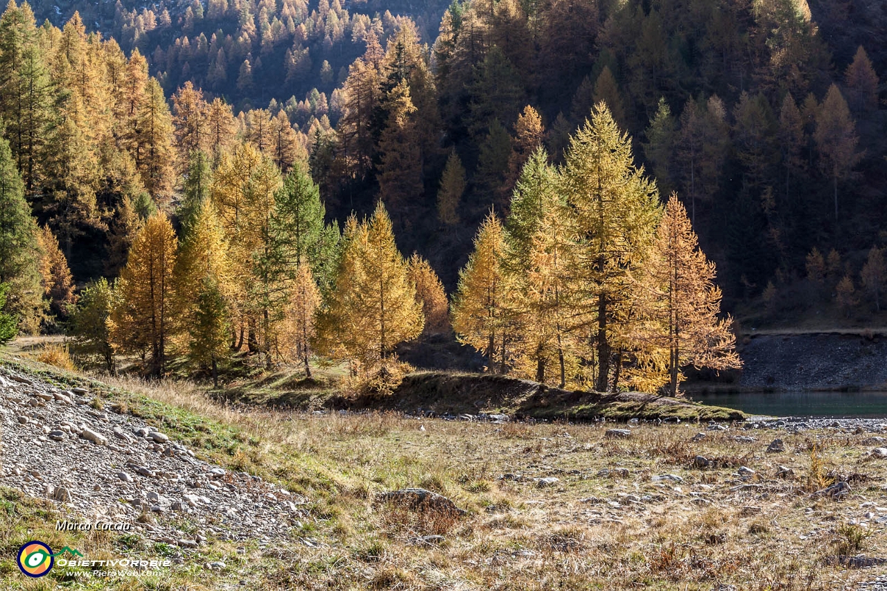 Due giorni tra i colori Orobici-72.JPG